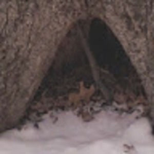 Meet your Posher, Aldo